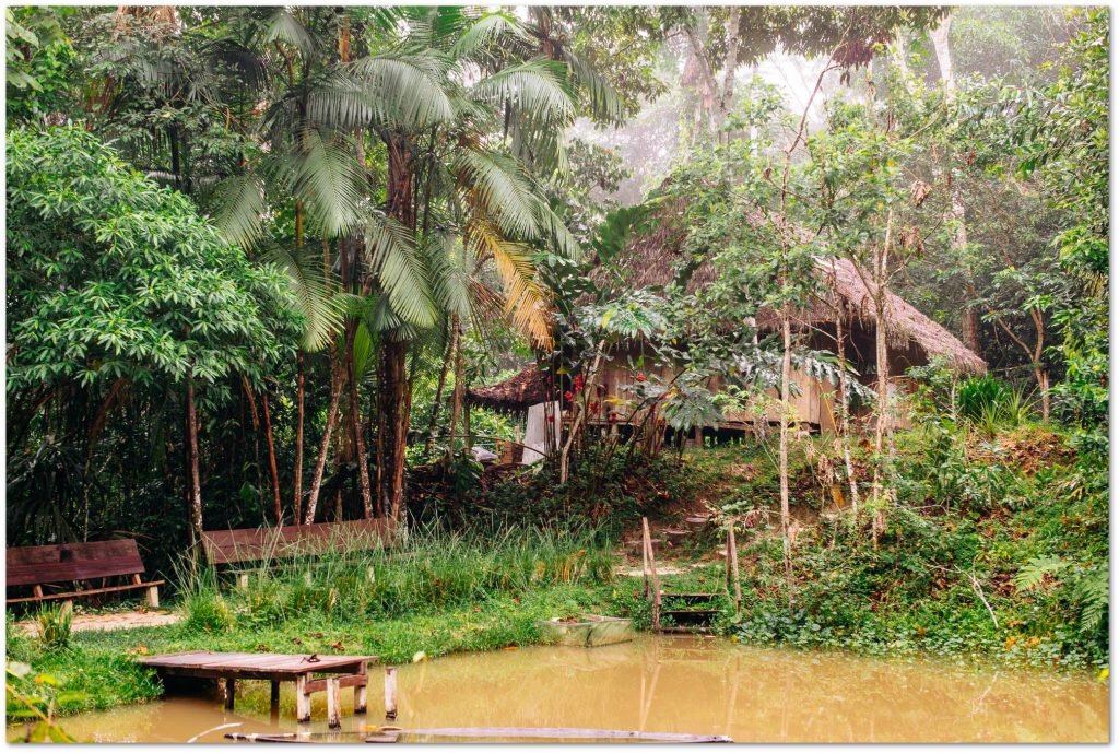 The view of one of the jungle tambos at the Temple of the Way of Light