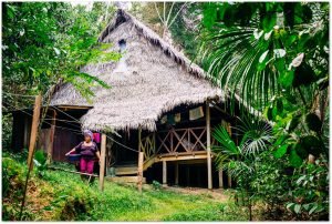 The jungle housing of one of the Ayahuasca facilitators